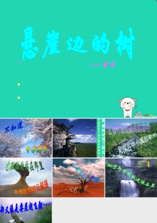 七年级语文上册 第五单元 18(悬崖边的树)课件 冀教版 课件