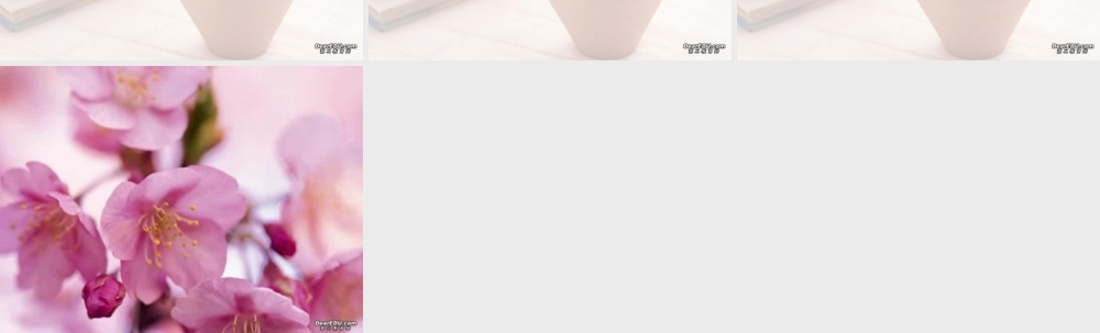 新课标中考数学复习课件 列一元二次方程解应用题二2 新课标中考数学复习课件 列一元二次方程解应用题[整理二套]