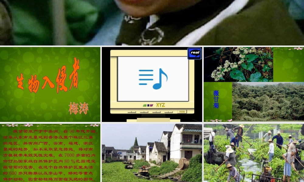 八年级语文上册 第四单元 19 生物入侵者课件 新人教版 课件