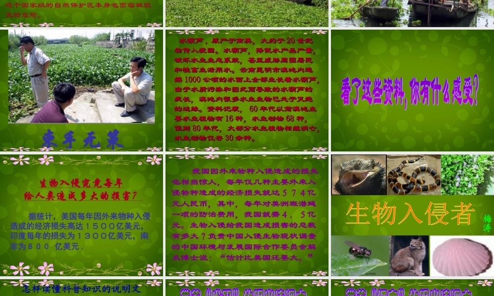 八年级语文上册 第四单元 19 生物入侵者课件 新人教版 课件
