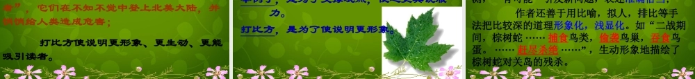 八年级语文上册 第四单元 19 生物入侵者课件 新人教版 课件