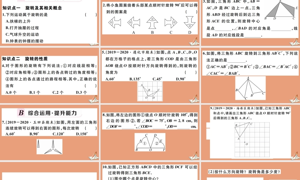 学上册 第二章 几何图形的初步认识 2.8 平面图形的旋转作业课件 (新版)冀教版 课件