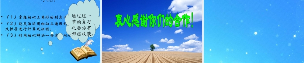 九年级数学上册 272(相似三角形)专题复习课件 人教新课标版 课件