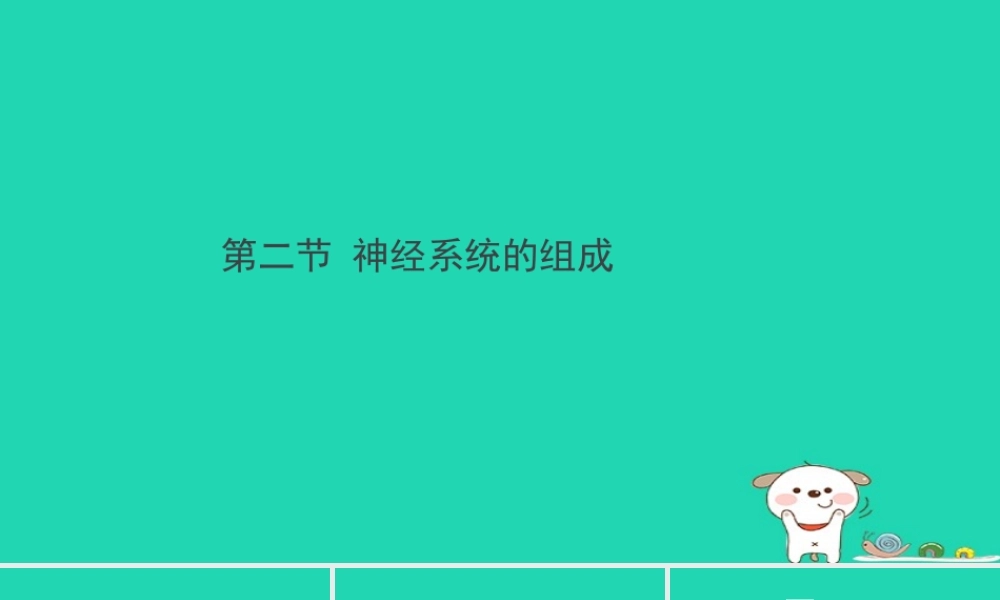 七年级生物下册 4.6.2(神经系统的组成)预习课件 (新版)新人教版 课件