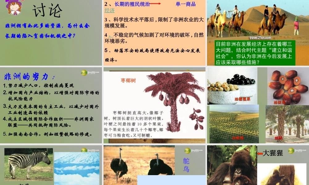 中学七年级地理下册 6.2 非洲(第2课时)课件 湘教版 课件