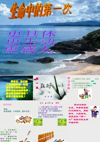 八年级语文第一次真好课件5 鄂教版 课件