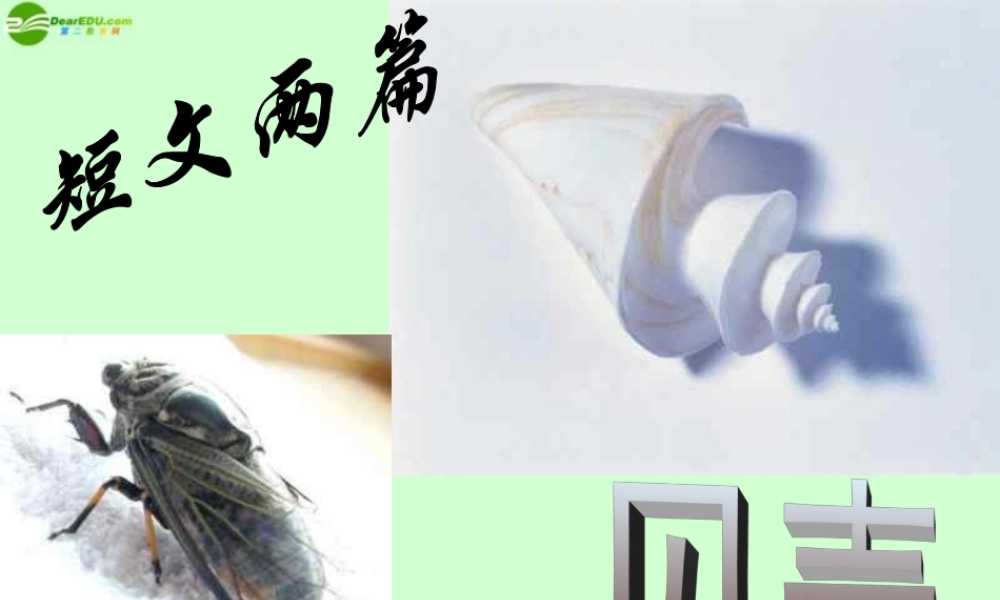 七年级语文上册 (贝壳)课件 人教新课标版 课件