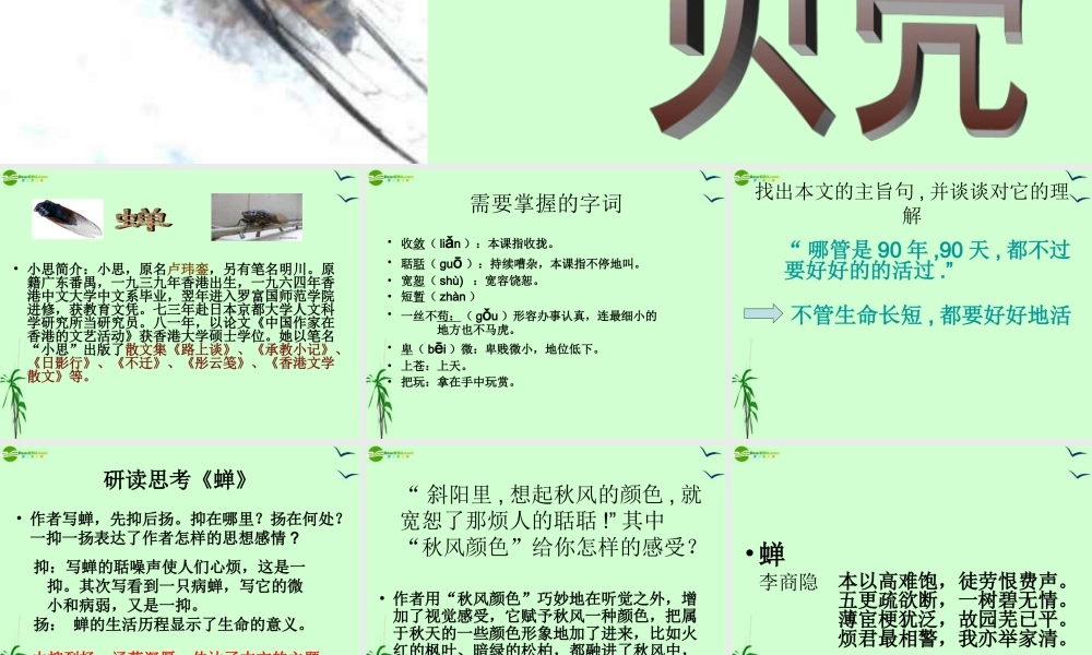 七年级语文上册 (贝壳)课件 人教新课标版 课件