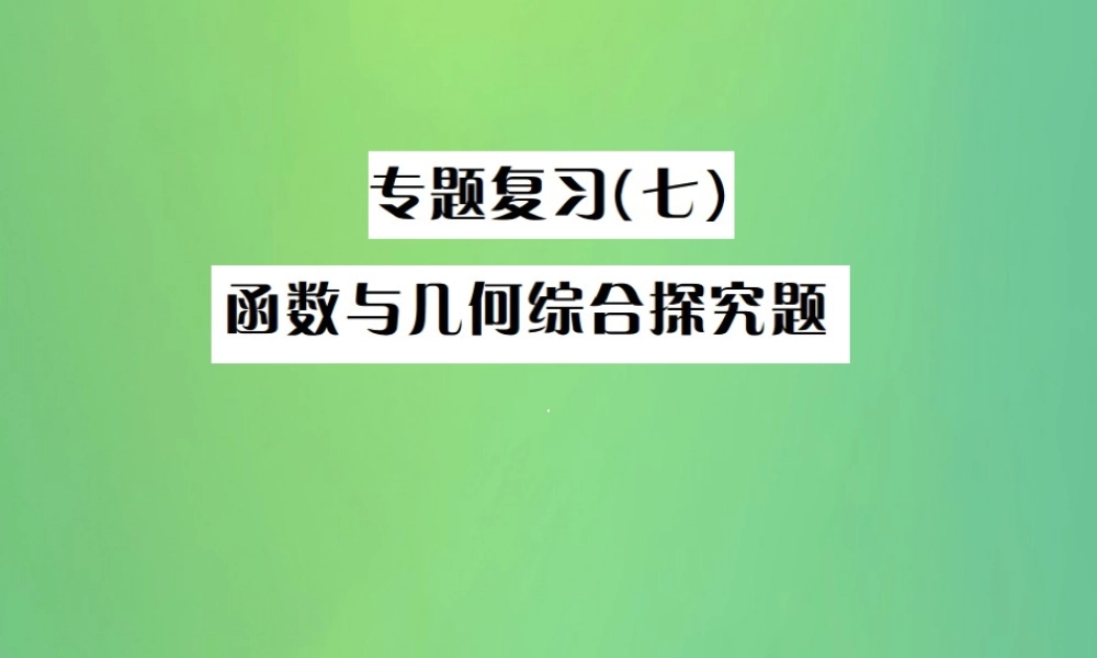 中考数学复习 专题复习(七)函数与几何综合探究题课件