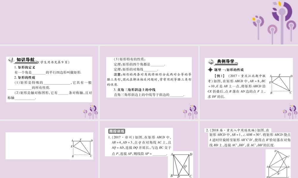 九年级数学上册 1(特殊平行四边形)2 矩形的性质与判定 第1课时 矩形的性质习题课件 (新版)北师大版 课件
