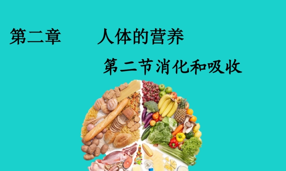 七年级生物下册 第二章 第二节 消化和吸收课件 (新版)新人教版 课件
