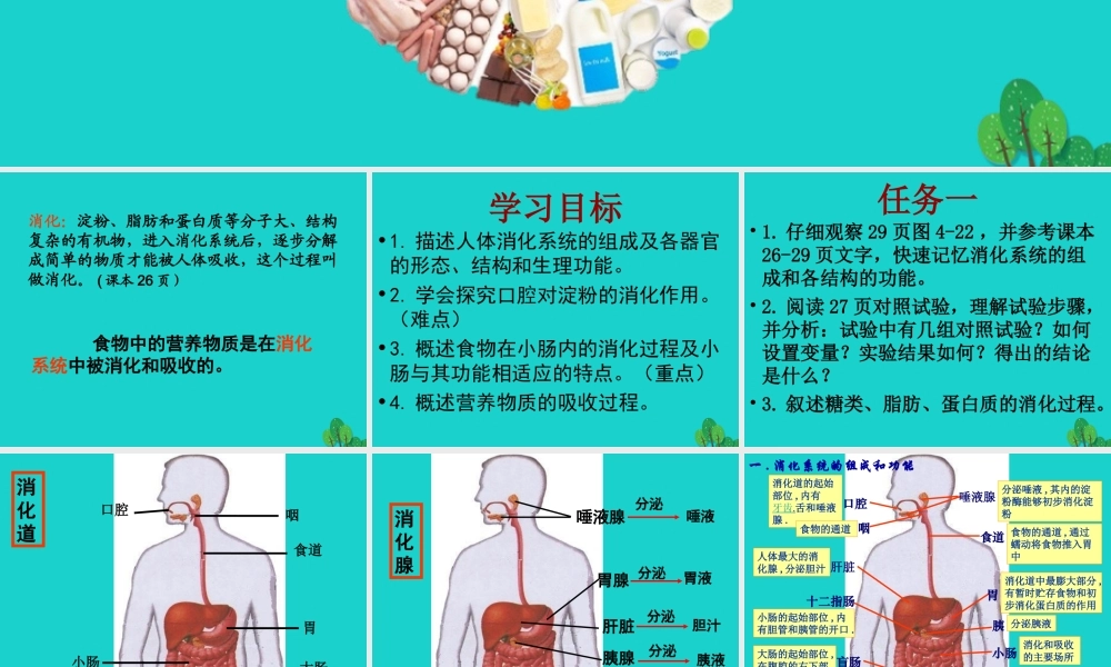 七年级生物下册 第二章 第二节 消化和吸收课件 (新版)新人教版 课件
