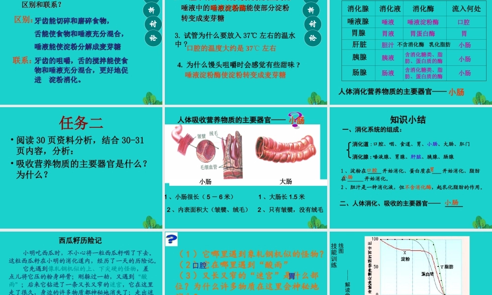 七年级生物下册 第二章 第二节 消化和吸收课件 (新版)新人教版 课件