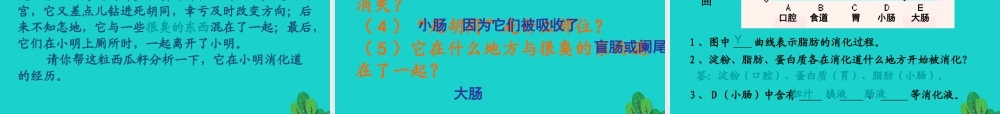 七年级生物下册 第二章 第二节 消化和吸收课件 (新版)新人教版 课件