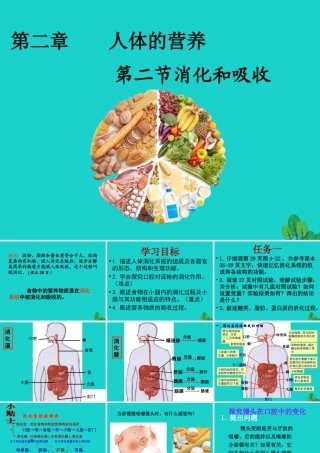 七年级生物下册 第二章 第二节 消化和吸收课件 (新版)新人教版 课件