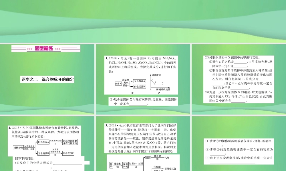 中考化学总复习 中考6大题型轻松搞定 题型复习(三)流程图之二 混合物成分的确定课件