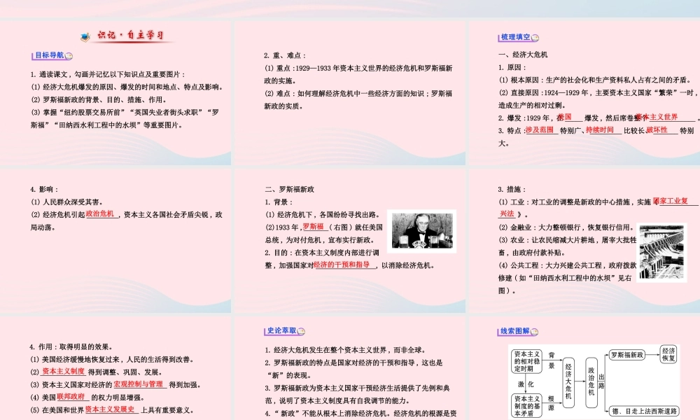 九年级历史下册 第二单元 凡尔赛——华盛顿体系下的世界第4课 经济大危机习题课件 新人教版 课件