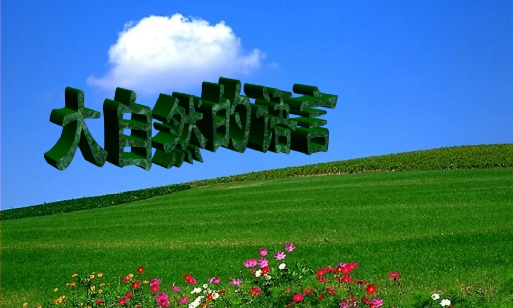 八年级语文上册 (大自然的语言)教学课件 人教新课标版 课件