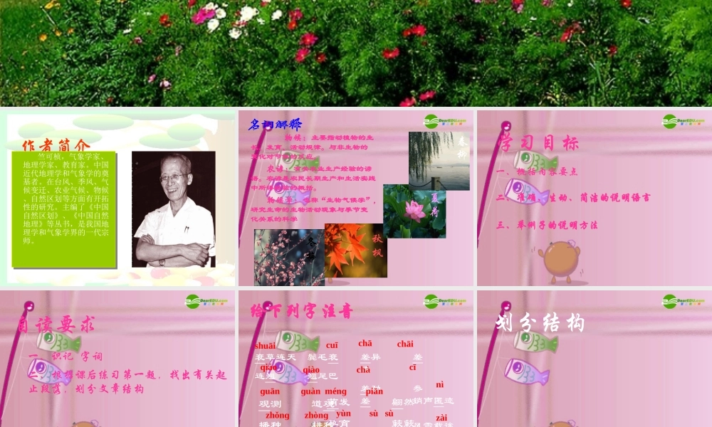 八年级语文上册 (大自然的语言)教学课件 人教新课标版 课件