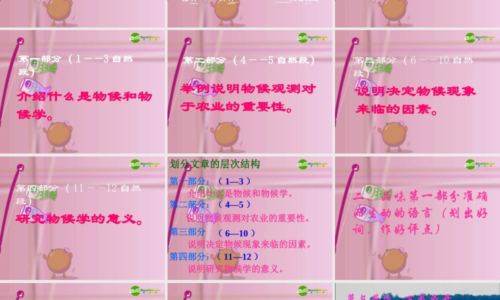 八年级语文上册 (大自然的语言)教学课件 人教新课标版 课件