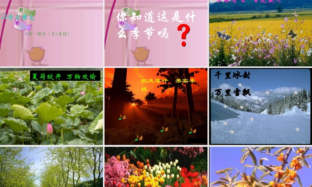 八年级语文上册 (大自然的语言)教学课件 人教新课标版 课件