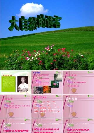 八年级语文上册 (大自然的语言)教学课件 人教新课标版 课件