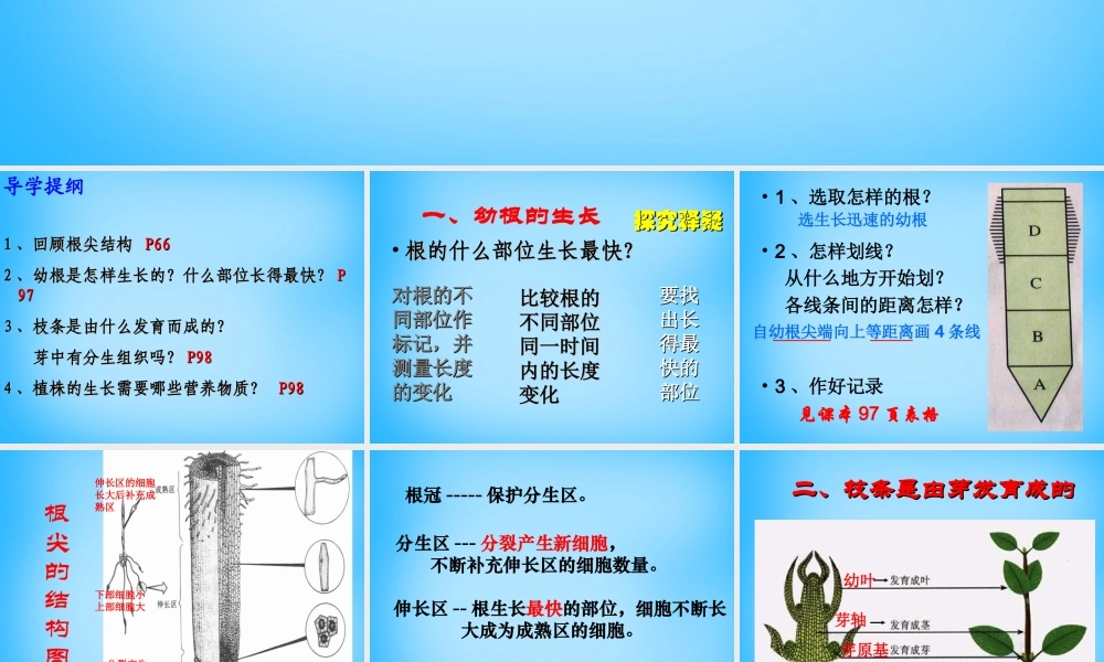 中学七年级生物上册 第5章 第2节 植物根的生长课件2 苏教版 课件