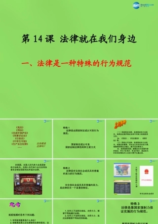 八年级政治下册 14.1 法律是一种特殊的行为规范课件 苏教版 课件
