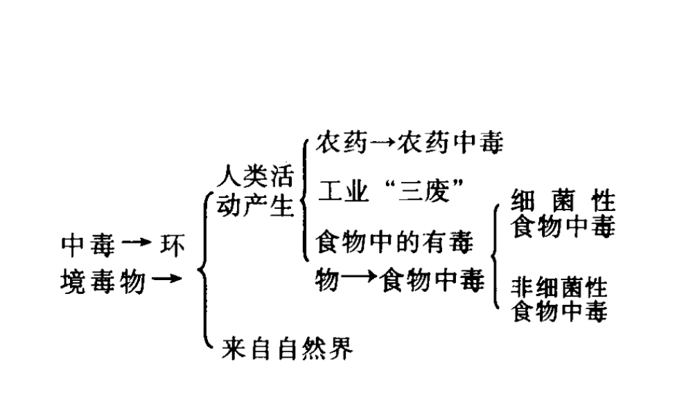 九年级生物 人的自身保护-浙教版 ppt 课件