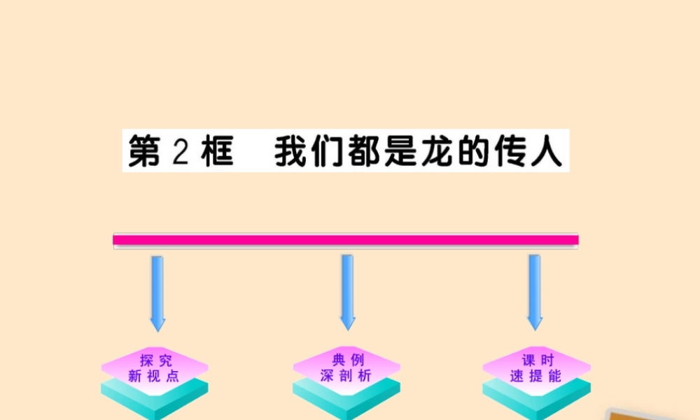 山东省10-11版八年级政治上册 1.2.2 我们都是龙的传人课件 人民版  课件
