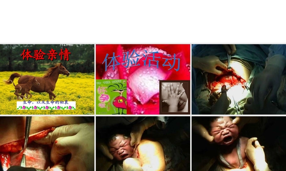 中学主题班会 母亲节 亲情教育之尊重母亲，感悟母恩课件