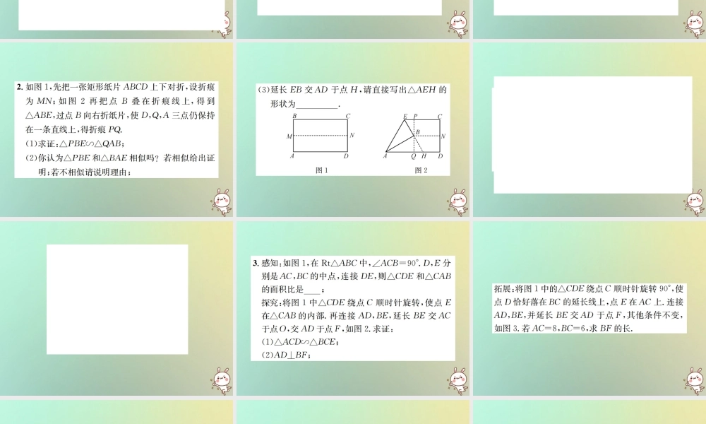 九年级数学下册 小专题(八)相似的综合与探究习题课件 (新版)新人教版 课件
