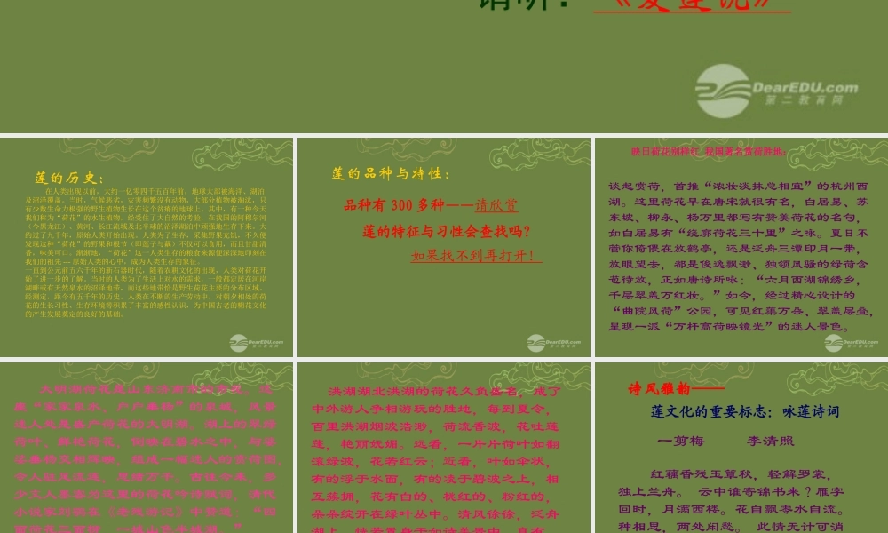 八年级语文上册(莲文化的魅力)课件2 新人教版 课件