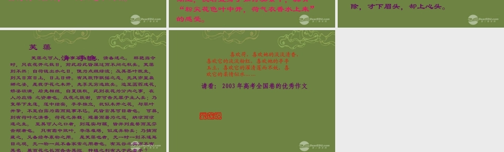 八年级语文上册(莲文化的魅力)课件2 新人教版 课件
