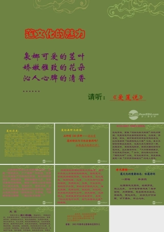 八年级语文上册(莲文化的魅力)课件2 新人教版 课件