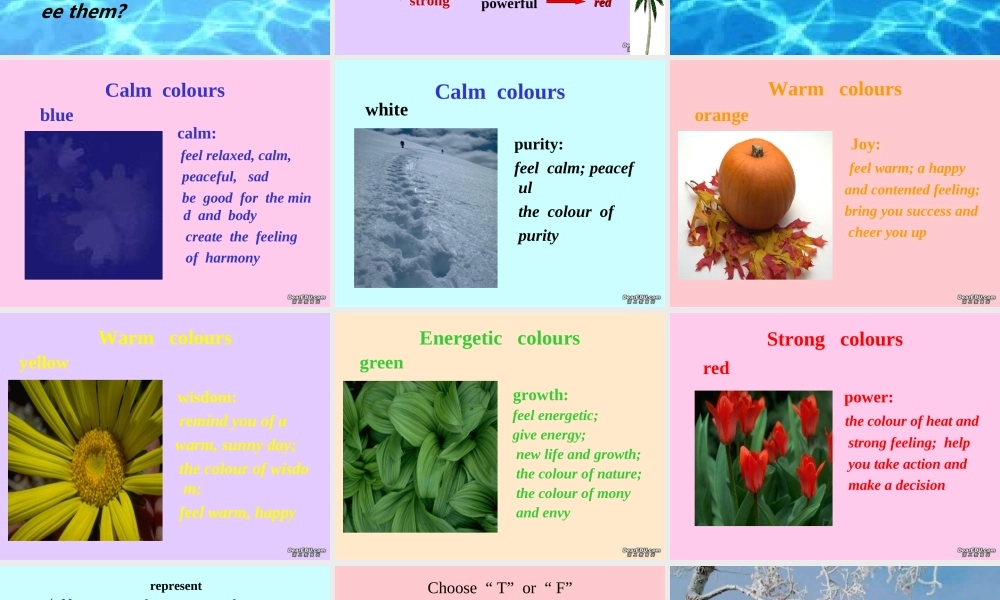 九年级英语Unit2阅读课件 牛津英语 课件