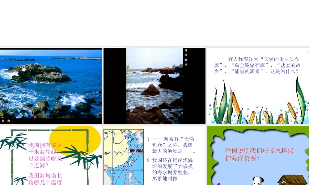 八年级地理上册：第三章第四节 中国的海洋资源(课件)湘教版 课件