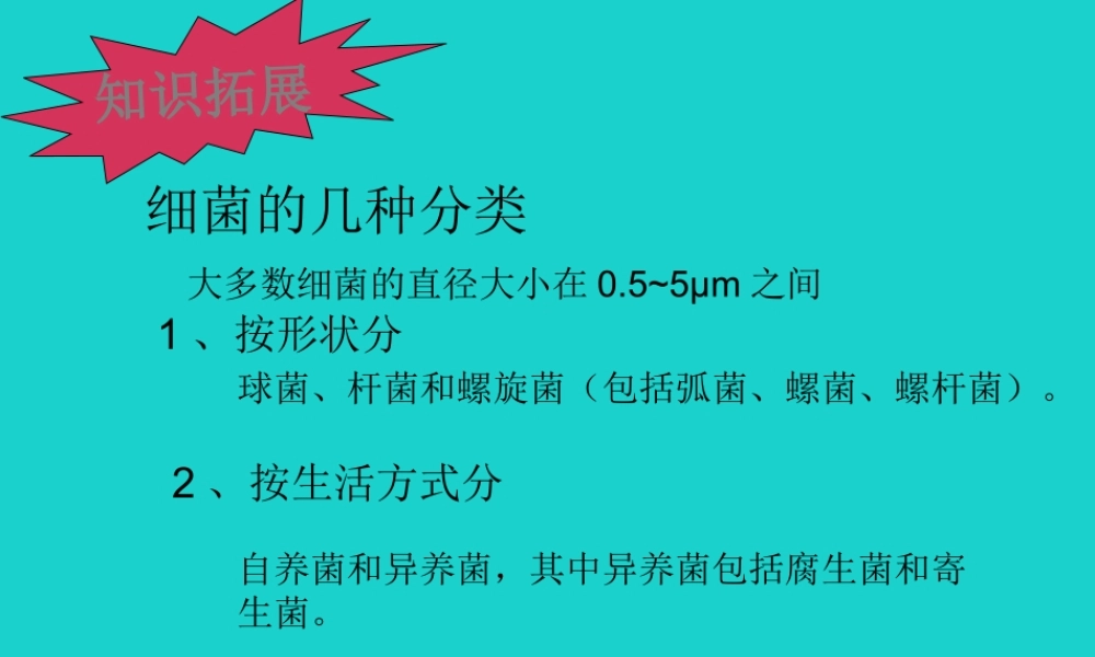 七年级生物上册 第一章 第二节 认识我们身边的其他生物 细菌分类知识拓展课件 (新版)北京版 课件