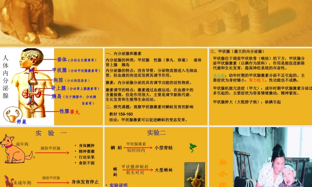 八年级科学上册 第六章第四节人体生命活动的激素调节课件 华东师大版 课件