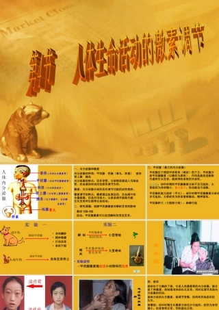 八年级科学上册 第六章第四节人体生命活动的激素调节课件 华东师大版 课件