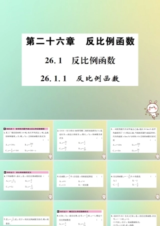 九年级数学下册 第二十六章 反比例函数 261 反比例函数 2611 反比例函数习题课件 (新版)新人教版 课件
