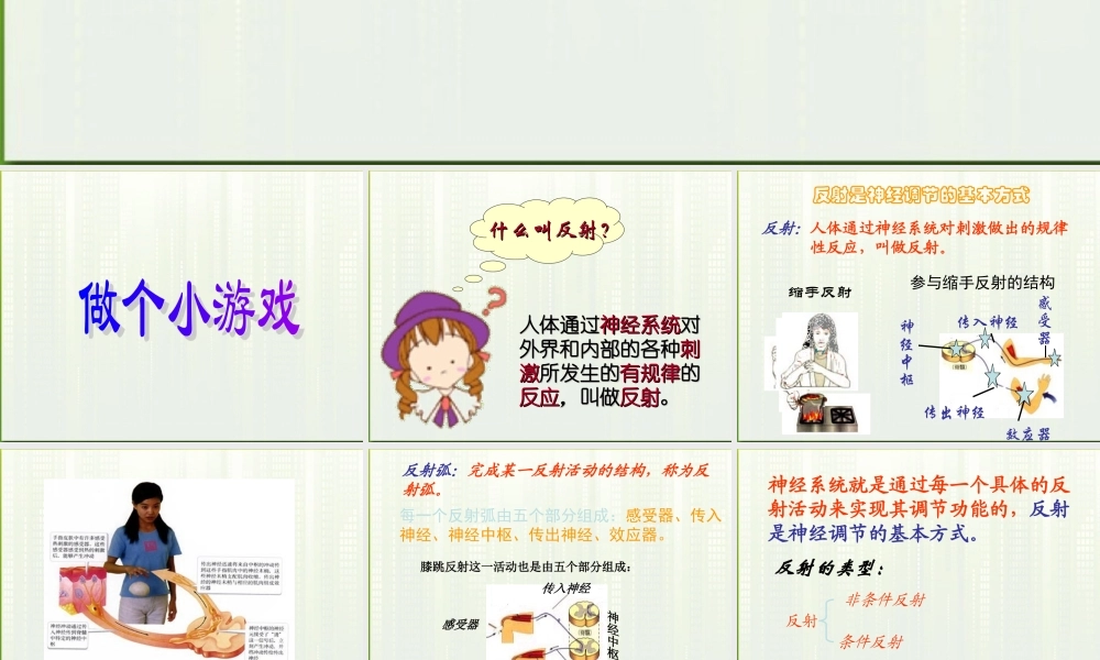 七年级生物下册 第四单元第六章第二节神经调节 课件 人教新课标版 课件