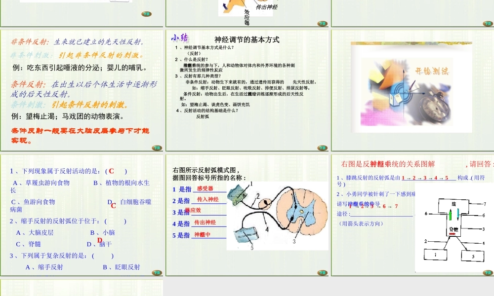 七年级生物下册 第四单元第六章第二节神经调节 课件 人教新课标版 课件