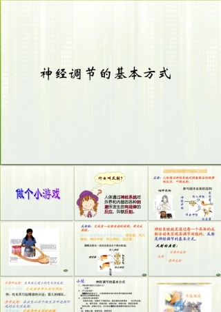 七年级生物下册 第四单元第六章第二节神经调节 课件 人教新课标版 课件