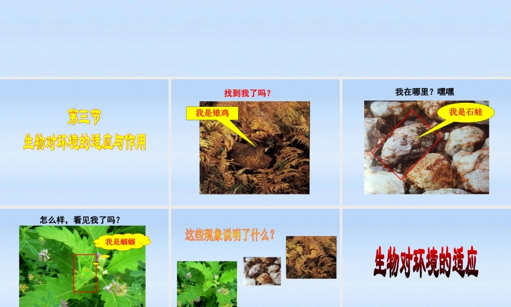 七年级生物上册 生物对环境的适应与作用课件 济南版 课件
