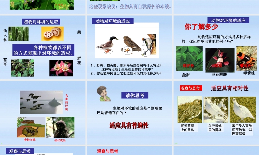 七年级生物上册 生物对环境的适应与作用课件 济南版 课件