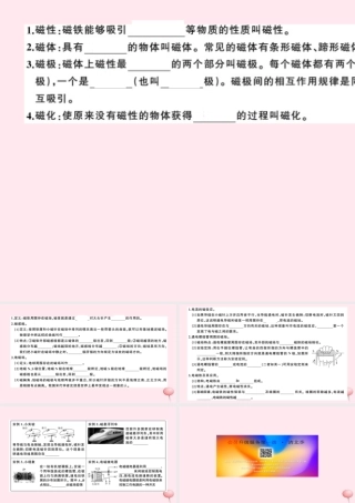 九年级物理全册 第7讲 磁现象 电流的磁效应习题课件(新版)新人教版 课件