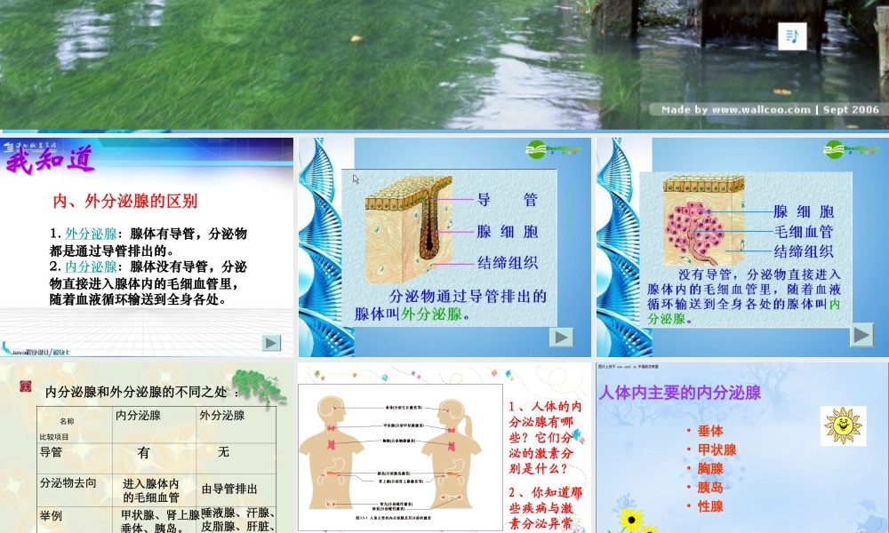 七年级生物下册 人体的激素调节课件 济南版 课件