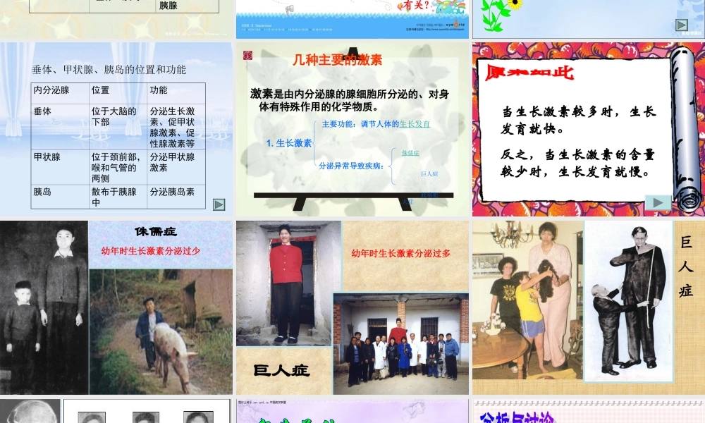 七年级生物下册 人体的激素调节课件 济南版 课件