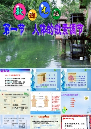 七年级生物下册 人体的激素调节课件 济南版 课件